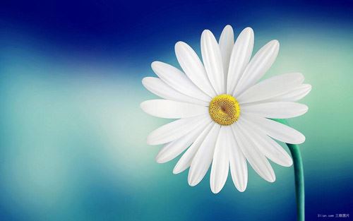 总担心对方会出轨 做因缘和合术增加感情缘分