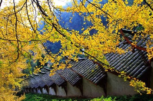 六类人生来便是当官命，哪些人会大福大贵官运亨通旺？