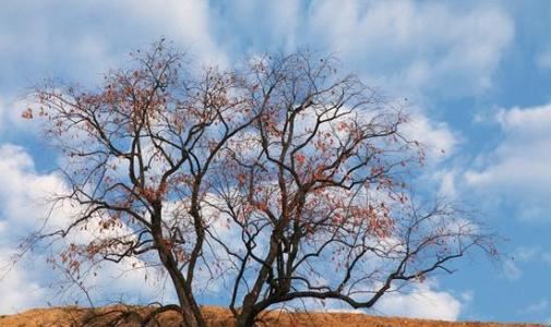 一杯水就可以发财的方法