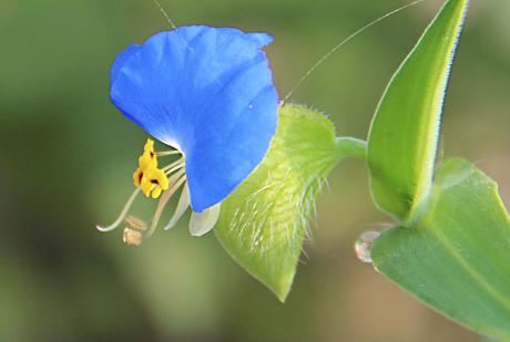 牢狱之灾一定是坐牢吗？