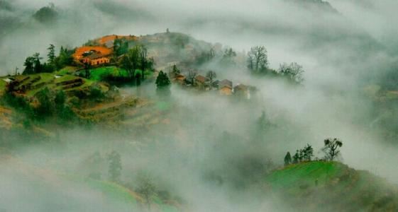 96年男鼠什么是什么命