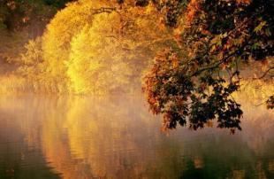 批八字算命网——千姿百态的算命网站