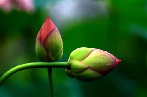 姓侯的男孩可以起什么名字 姓侯的男孩子取什么名字好呢