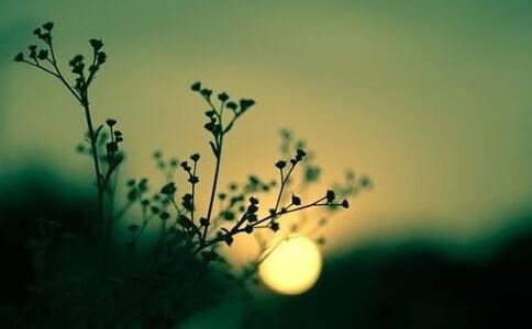 八字算命婚姻爱情准不准确呢怎么看出来是真的