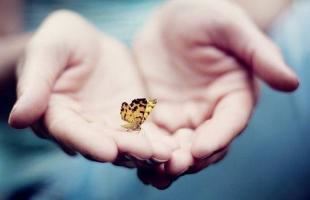 几月出生的属马人命苦呢，1990年属马人感情运势怎样呢？