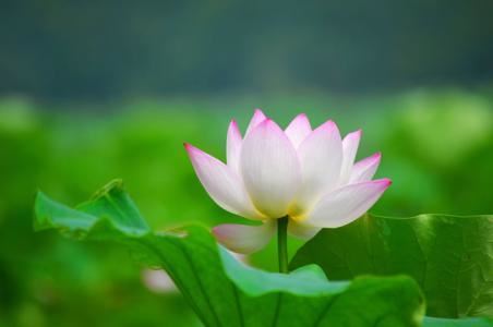 男生冷漠的名字 男生冷酷霸气名字两个字大全