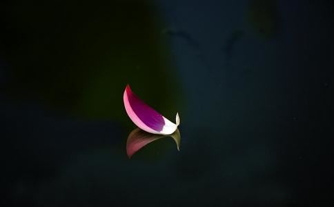 彭男孩好名字大全两个字