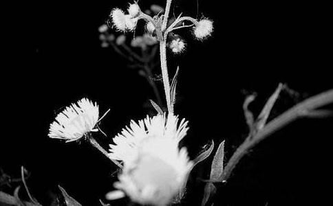 自己烧元宝能还阴债吗，方法和步骤是怎样的？