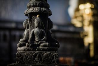 杜鹃花的风水作用是什么，杜鹃花的风水作用禁忌？