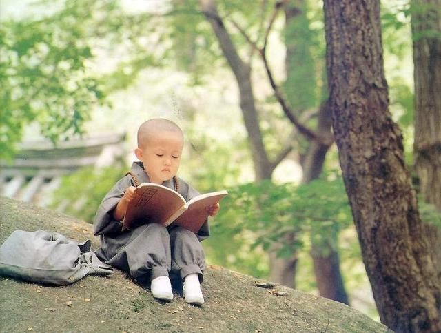 1978年是什么土命，戊午马的命运？