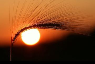 想挽回我的前男友  降低需求感是前提