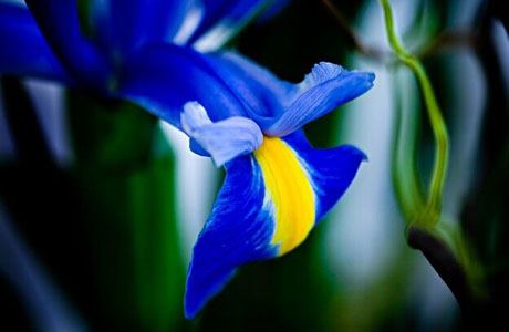 1993年阴历10月13日是什么星座