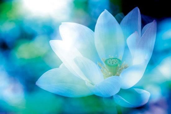 北京白云观超度亡灵法会,为先人祈福解厄,跨越时空的思念