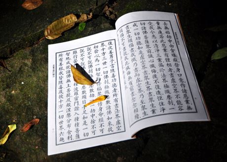 属马男生配属鼠女生