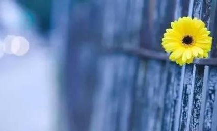 梦见漂亮的别墅房子是什么征兆？