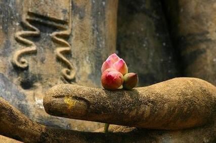 梦见蜘蛛网预示着什么，梦见自己清理蜘蛛网？