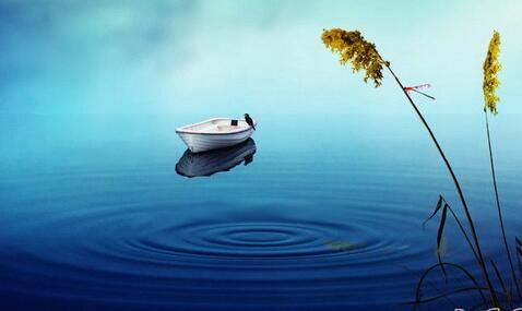 背后有一棵大柳树的枫树，大门外左边有棵大柳树好吗？