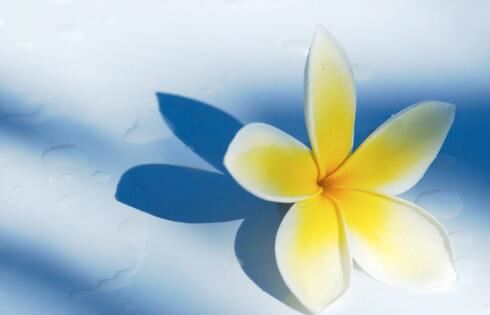 一份详细且有效的异地恋挽回男友攻略