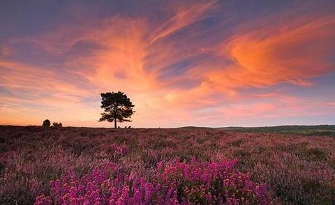 风水最好的楼层是哪几层,风水最旺的房子是几楼?