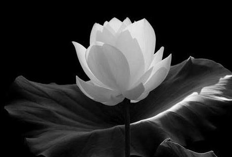 打胎后怎么超度婴灵呢？