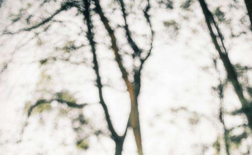 给女宝宝取名字姓李怎么取