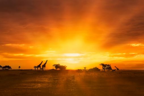 宝宝名字佳字辈