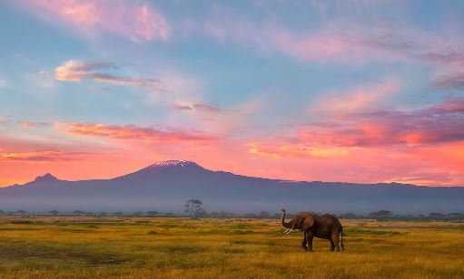 程姓取名两个字的名字