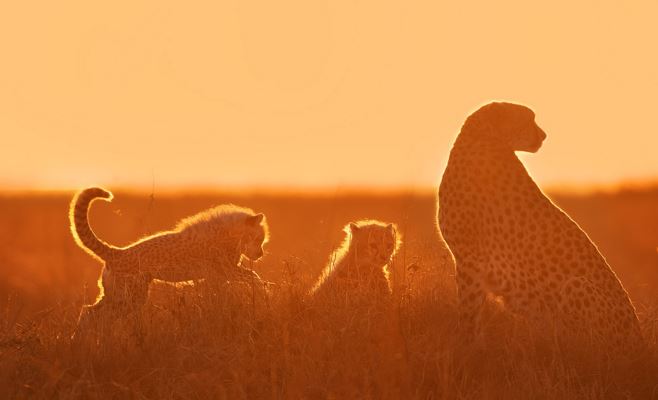 最会挑剔女伴的星座男