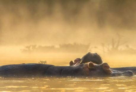 辟谷减肥的正确方法，这几个步骤一定要注意