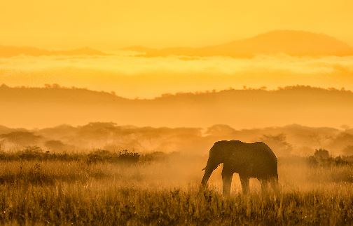 龙的起名笔画数 龙的起名网