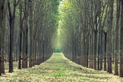 手掌婚姻线是哪一条线， 三条婚姻线预示分析？