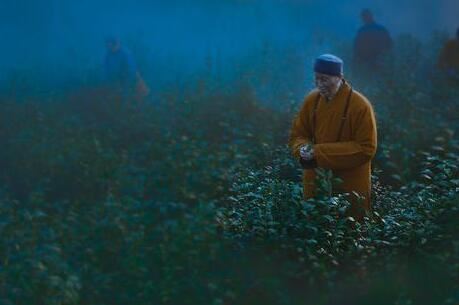 男孩取名英字开头的名字有哪些