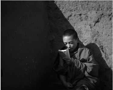 起名免费测分免费