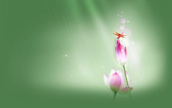 超度婴灵法事做完后需要注意什么？堕胎有哪些果报