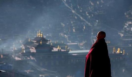 属兔女生适合从事什么工作 属兔女适合做生意吗