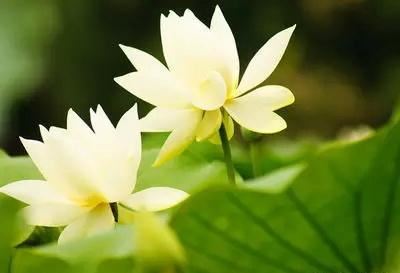 姓赵的女宝宝名字属兔取什么