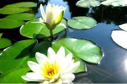 男孩名字玉什么