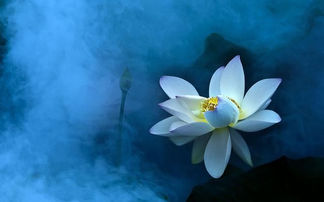 延寿县风水布置店铺地址:如何选择适合的店铺位置？