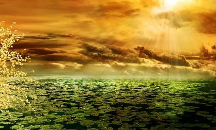 名字女两个字简约霸气 名字女两个字简约可爱