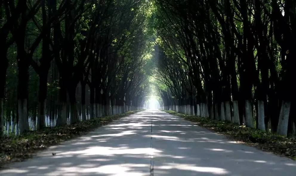 男孩起名好听的单字大全四个字