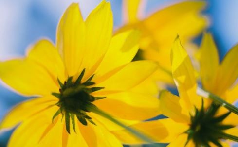 94今年多大了属什么生肖？