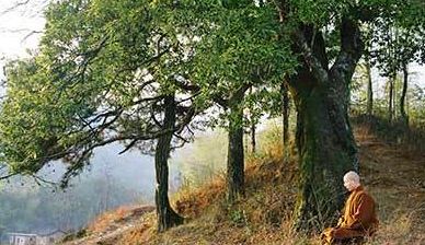 天秤座的农历星座是什么星座