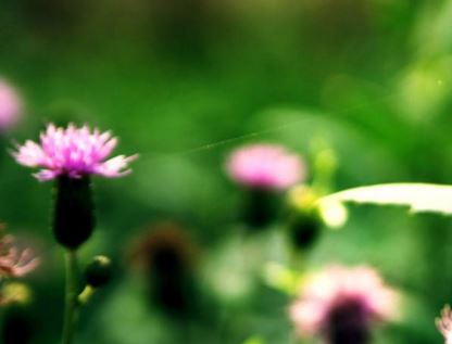 水瓶女智慧过人却很低调怎么办