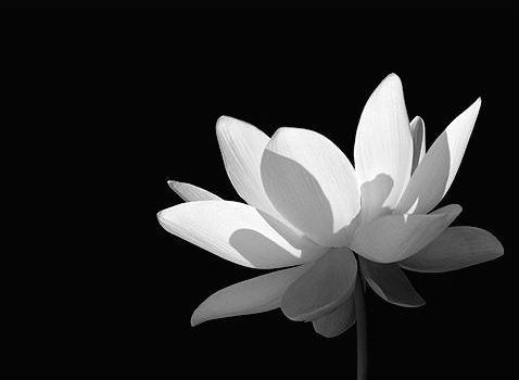 易经九宫八卦图解