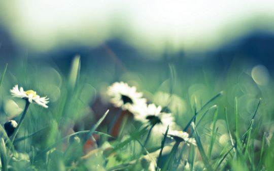 冯宝宝名字的由来和含义 冯宝宝名字的由来是什么