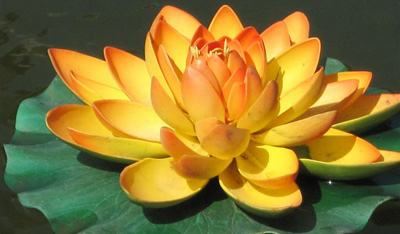 断坟最准的口诀