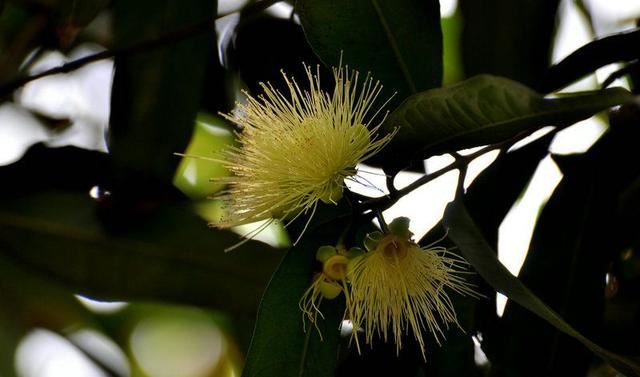 双鱼座女生喜欢什么？