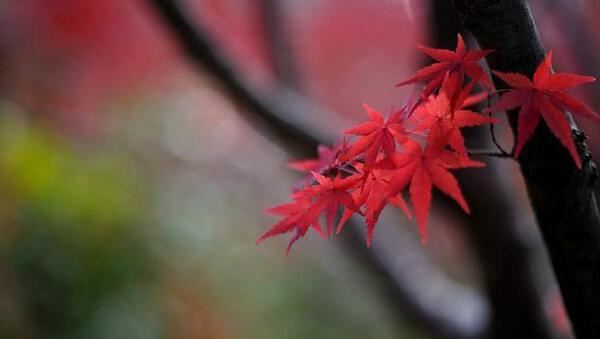 月德合有什么好处