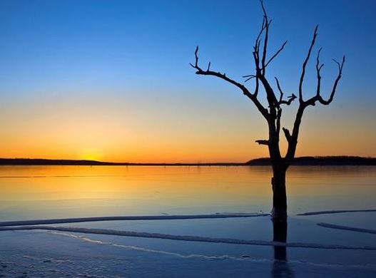 缺火缺金怎么起名字