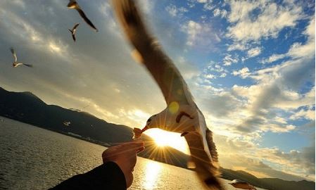 白羊座的男生喜欢什么样子的女生